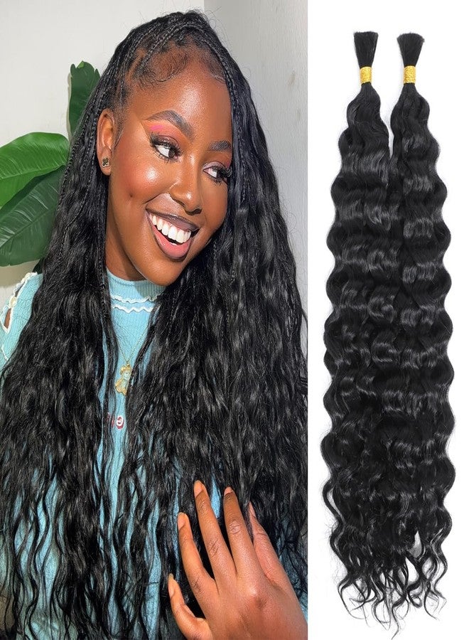 Vitality Human Braiding Hair for Boho Braids 24 Inch Italian Curly Bulk Human Hair 100% Unprocessed Brazilian Virgin Hair for Braiding Bohemian No Weft 2 Bundles/Pack Natural Color - Image 1